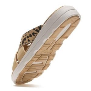 Sandały damskie Cassie. Brązowe buty trekkingowe Regatta, bez zapięcia. Za 299,99 zł.