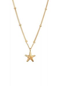 Elli Naszyjnik z zawieszką Damski zawieszka rozgwiazda Łańcuszek kulkowy 925 Sterling Silver Letni / Plażowy 38 cm Naszyjniki 1 ct. Szare naszyjniki Elli, srebrne. Za 233,99 zł.