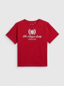 4F T-shirt boxy z nadrukiem damski - czerwony XS. Czerwone t-shirty 4f, uniwersalny, bez wzorów, z bawełny, bez kołnierzyka, bez ramiączek. Za 69,99 zł.