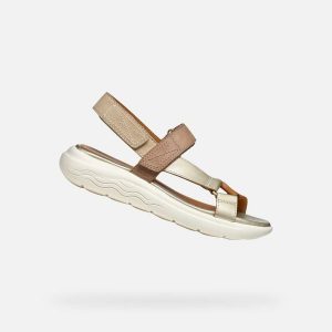 Buty do chodzenia damskie Geox D25ADA032CFC5258. Zielone buty trekkingowe Geox, z materiału, bez zapięcia. Za 398,99 zł.