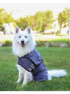 Paws&Whiskers Szlafrok w kolorze szarym dla psa rozmiar: M. Szare szlafroki Paws&Whiskers, m, bez wzorów, z materiału, bez kaptura. Za 169,99 zł.