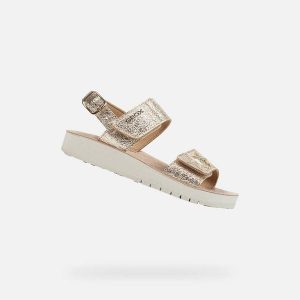 Sandały GEOX J SANDAL COSTAREI GI Złoty. Żółte sandały Geox, bez wzorów, ze skóry, bez obcasa, bez zapięcia. Za 255,30 zł.