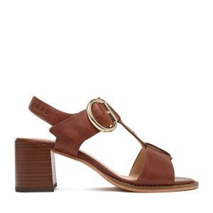 Sandały Beverly Hills Polo Club. Brązowe sandały Beverly Hills Polo Club, bez wzorów, bez obcasa, na słupku, bez zapięcia. Za 369,99 zł.