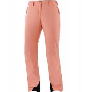 Spodnie zimowe na narty i snowboard damskie Salomon THE BRILLIANT. Brązowe spodnie sportowe Salomon, na zimę, m, bez wzorów, z elastanu, narciarskie. W wyprzedaży za 322,05 zł.