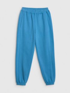 4F Spodnie dresowe joggery damskie - niebieskie XXL. Niebieskie spodnie dresowe 4f, xxl, bez wzorów, z bawełny. Za 149,99 zł.