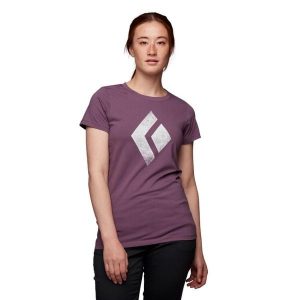 Koszulka turystyczna damska Black Diamond Chalked Up. Fioletowe bluzki Black Diamond, xs, bez wzorów, sportowe, bez kołnierzyka, bez ramiączek. Za 190,50 zł.