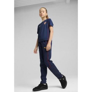 Młodzieżowe spodnie Portugalia Casuals PUMA Persian Blue Sunny Yellow. Niebieskia spodnie dresowe Puma, m, bez wzorów, z dresówki. Za 239,00 zł.