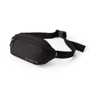Torebka biodrowa saszetka nerka Gregory Nano Waistpack Mini. Brązowe nerki i saszetki Gregory, bez wzorów. Za 140,01 zł.