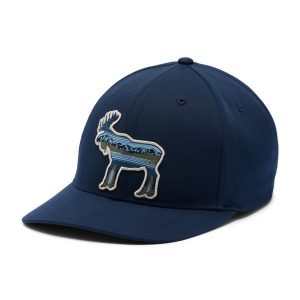 COLUMBIA Czapka z daszkiem Lost Lager 110 Snap Back colegiate navy. Niebieskie czapki Columbia, bez wzorów, klasyczne. Za 73,40 zł.