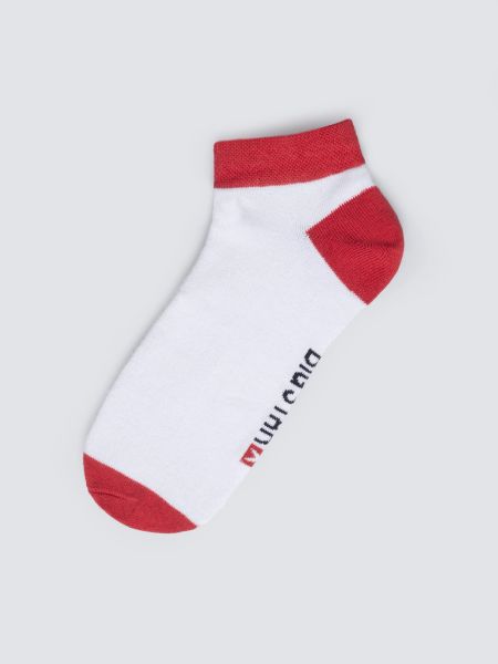 Stopki bawełniane czerwono-białe Filixos 603. Czerwone skarpetki Big Star, bez wzorów, z bawełny. Za 19,99 zł.