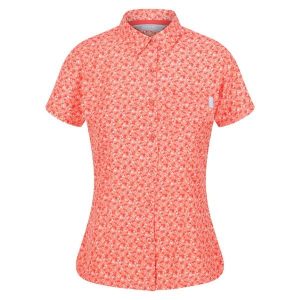 Koszula Damska W Drobne Kwiatki Mindano VI. Brązowe koszule Regatta, bez wzorów, bez kołnierzyka, bez ramiączek. Za 54,99 zł.