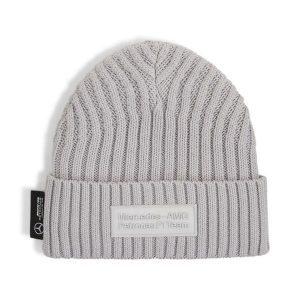 Czapka zimowa unisex Puma MAPF1 STATEMENT szara 02569002. Szare czapki Puma, bez wzorów, z bawełny, klasyczne. Za 119,13 zł.