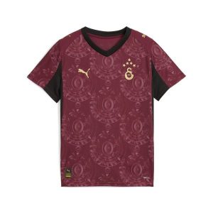Młodzieżowa trzecia koszulka Galatasaray SK 25/26 PUMA. Brązowa bluzki Puma, m, bez wzorów, młodzieżowe, bez kołnierzyka, bez ramiączek. Za 349,00 zł.