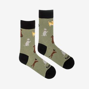Skarpety Coqui 35-38. Zielone skarpetki Coqui, bez wzorów. Za 95,99 zł.