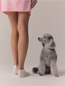 Skarpetki z bawełną 5 pack - czarny. Czarne skarpetki Reserved, bez wzorów, z bawełny. Za 39,99 zł.