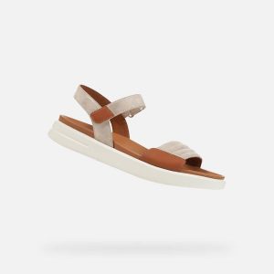 Sandały damskie Geox Xand 2S. Brązowe sandały Geox, bez wzorów, ze skóry, bez obcasa, bez zapięcia. Za 366,99 zł.
