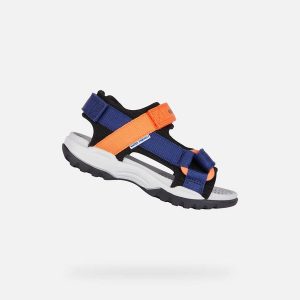 Sandały Geox Borealis. Brązowe buty trekkingowe Geox, bez zapięcia. Za 311,50 zł.