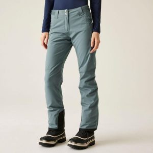 Damskie wodoodporne izolowane spodnie narciarskie Shrink. Szare spodnie sportowe Dare 2b, na zimę, bez wzorów, narciarskie. Za 299,99 zł.