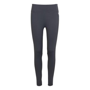 Legginsy damskie Holeen Pro Compression. Szare legginsy Regatta, bez wzorów, z dżerseju. W wyprzedaży za 169,99 zł.