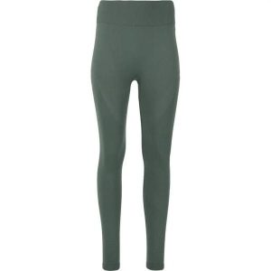 Damskie legginsy Athlecia Nagar. Szare legginsy Athlecia, bez wzorów, z nylonu. Za 99,90 zł.