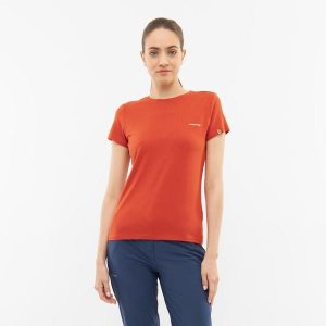 T-shirt damski Viking Bamboo Harvi Lady. Brązowe t-shirty Viking, s, bez wzorów, bez kołnierzyka, bez ramiączek. W wyprzedaży za 116,91 zł.