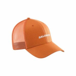 Czapka sportowa Salomon LC2525100 Jeden rozmiar. Brązowe czapki Salomon, bez wzorów, sportowe. Za 142,45 zł.
