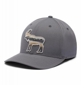 COLUMBIA Czapka z daszkiem Lost Lager 110 Snap Back city grey/scenic moose. Szare czapki Columbia, bez wzorów, z elastanu, eleganckie. Za 73,40 zł.